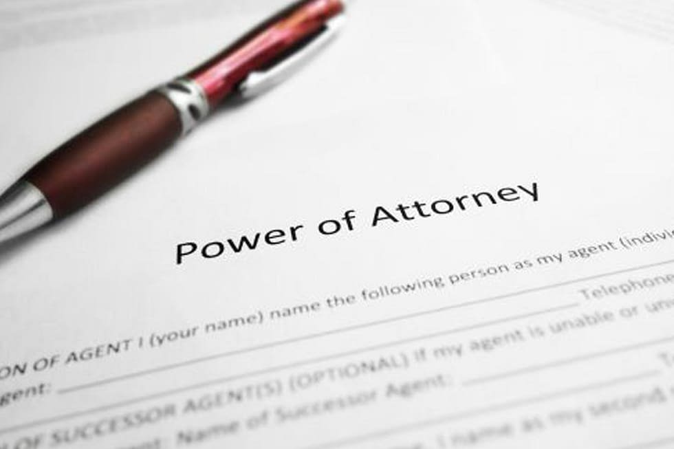 Estate Lawyer Adelaide Wills and Estates Adelaide Scammell & Co